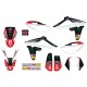 8000H7655   -   grafiche enduro replica 2011 TE250-310